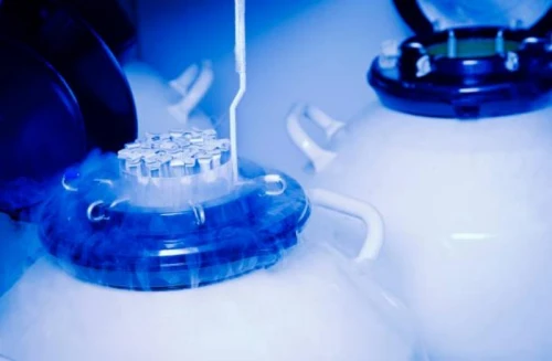 Imagem Ilustrando Isolite Imagem Ilustrando Isolite